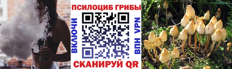 Галлюциногенные грибы мицелий  даркнет сайт  Лесозаводск 